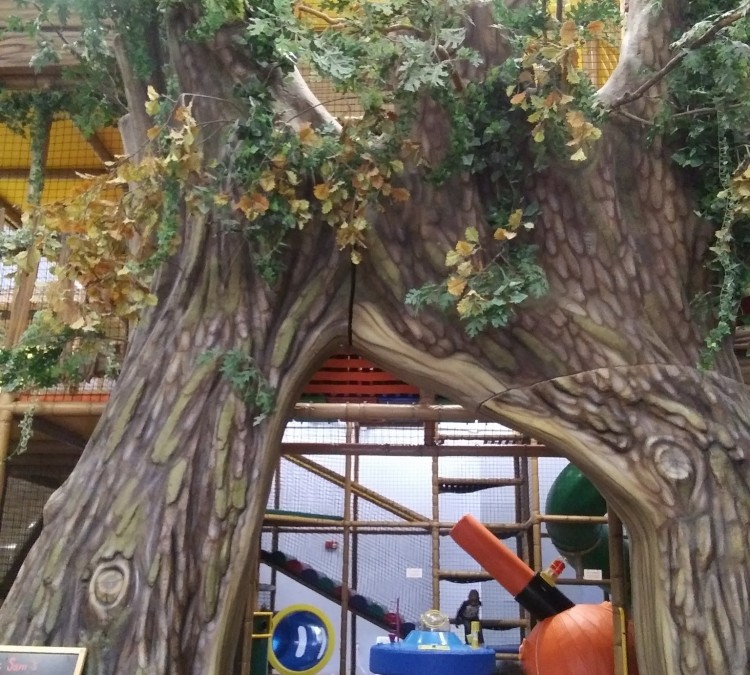 cypress-sams-treehouse-photo